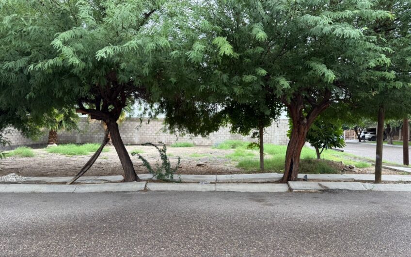La Paloma Residencial